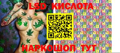 гашик Можга