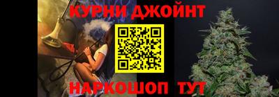 гашик Можга