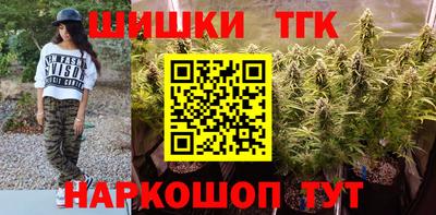 гашик Можга