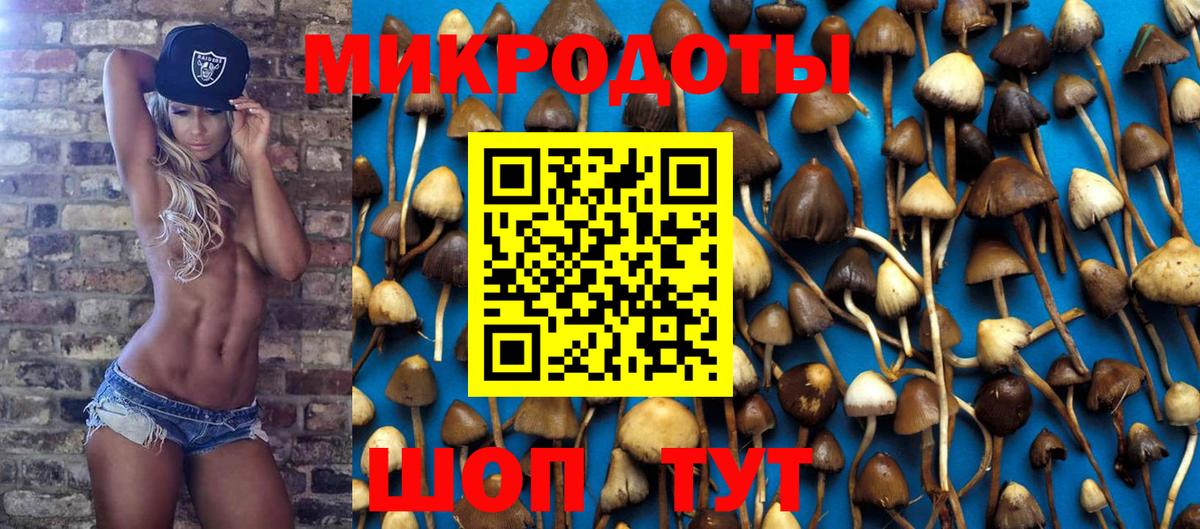 Псилоцибиновые грибы Psilocybine cubensis  Вход с VPN  Псилоцибиновые грибы ЛСД  Верхняя Салда 