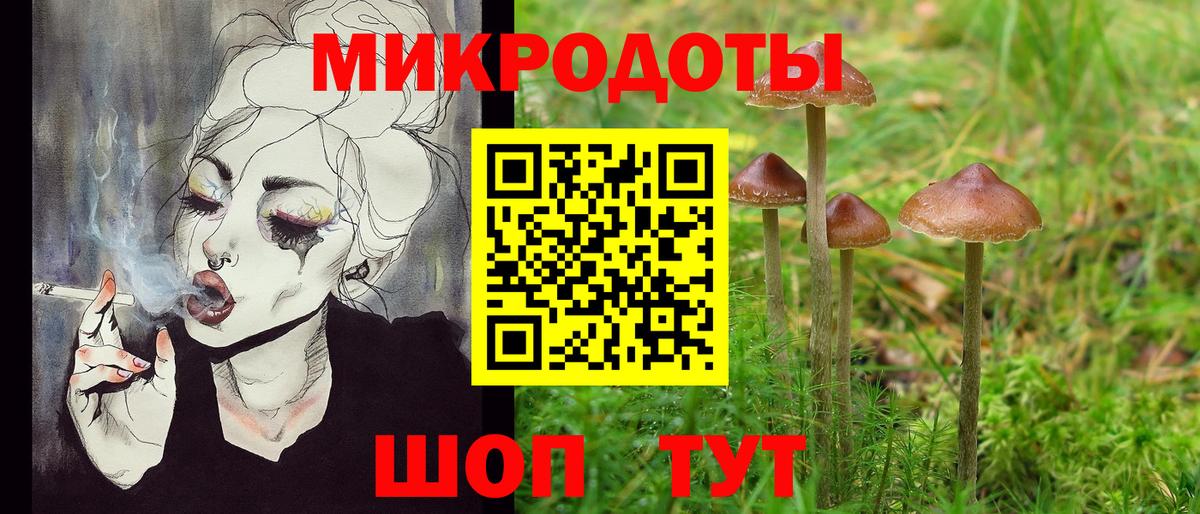 Псилоцибиновые грибы мицелий Верхняя Салда
